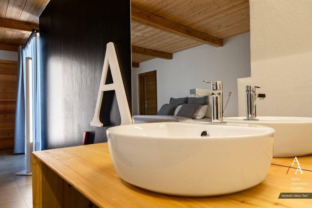 Alp & Bike - Tourneuve5 *